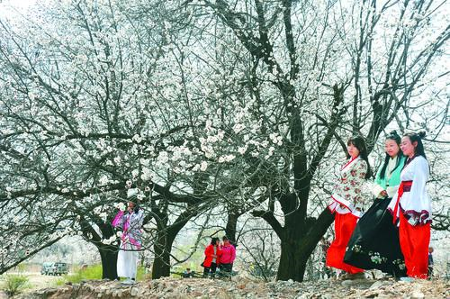 1946伟德品牌形象图 - 经典与智慧交融